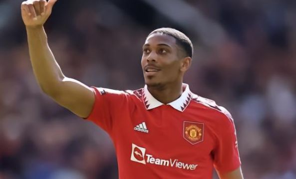 目的表現 目的表現